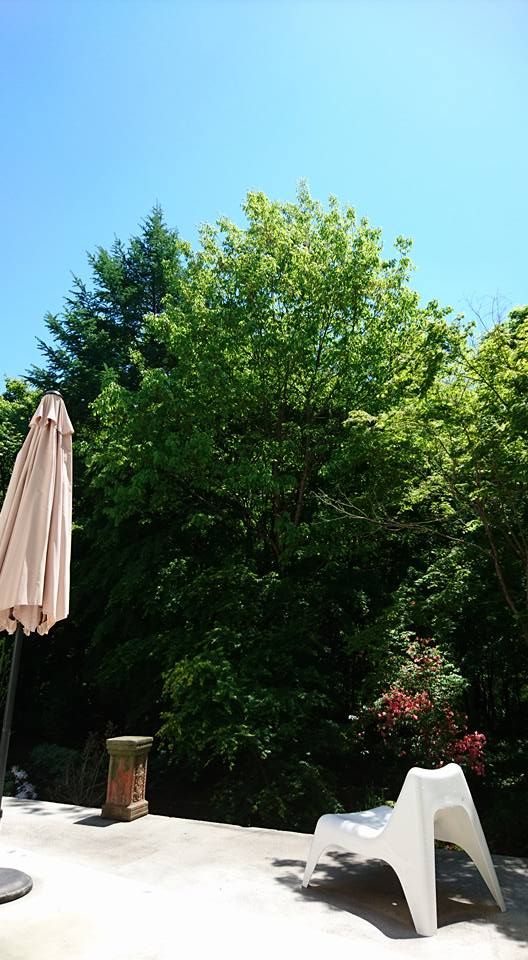 18922129_1947690131923562_3459145189948693506_n